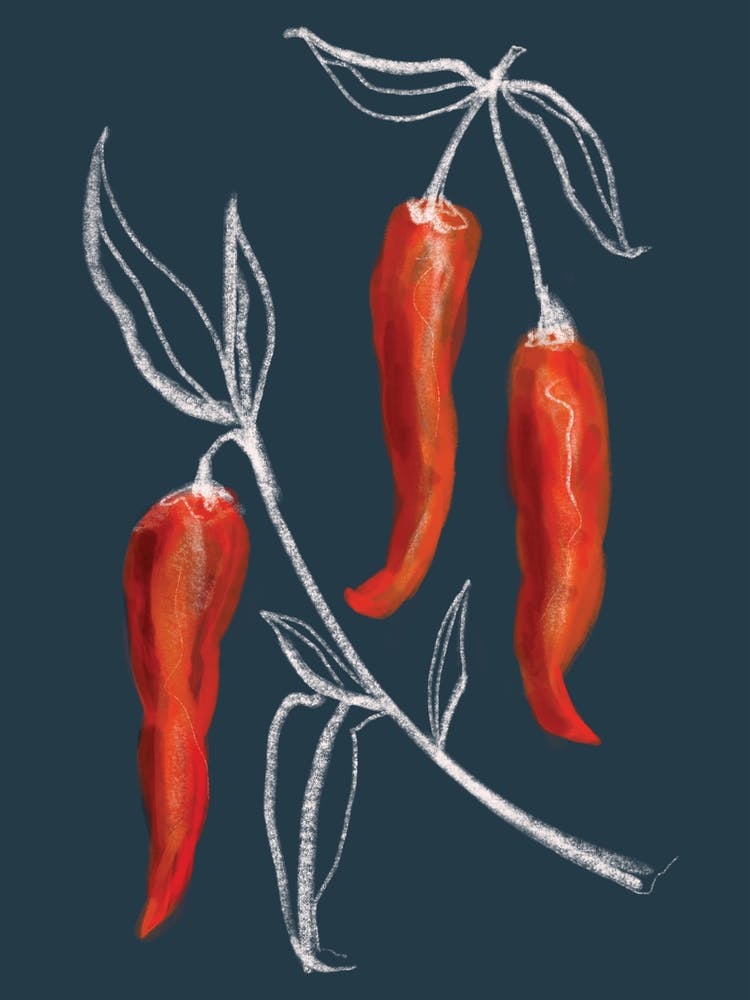 Chili Kitchen Set Navy And Red