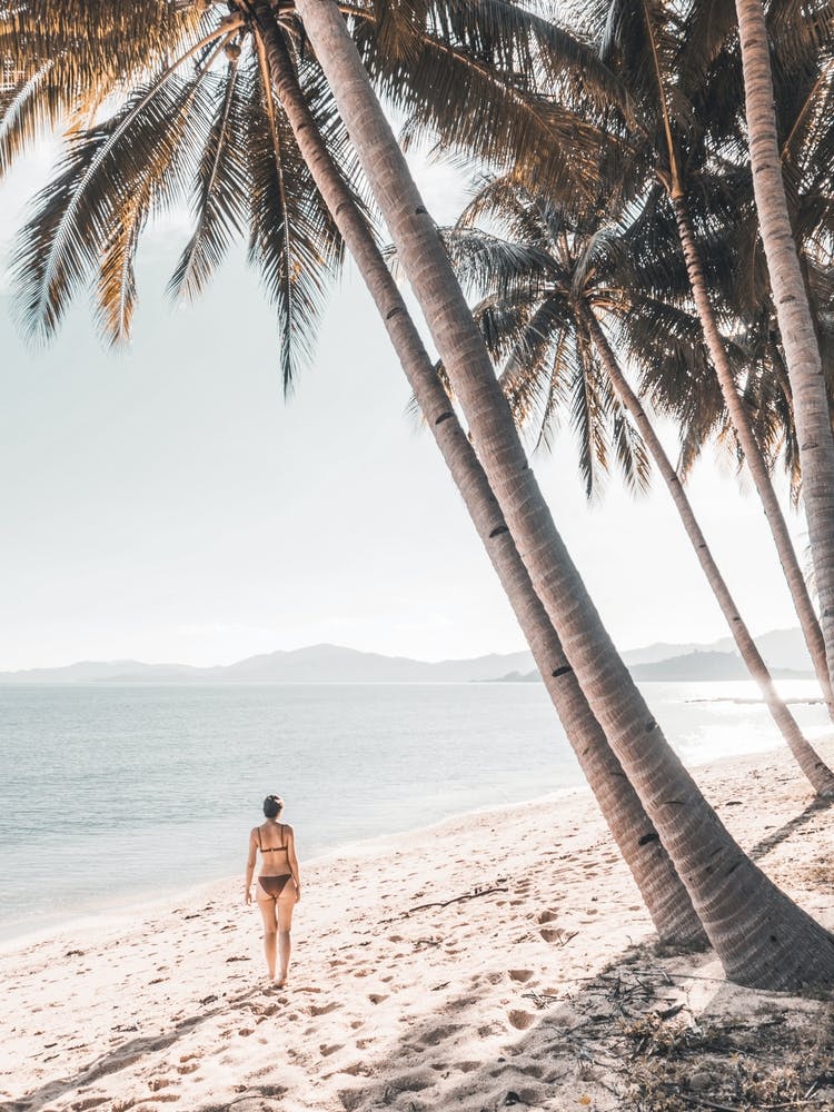 Wanderlust