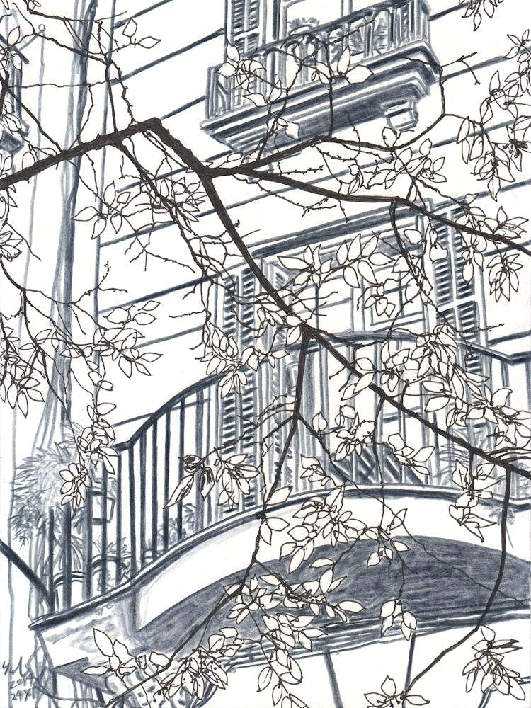 Leaves And Balconies