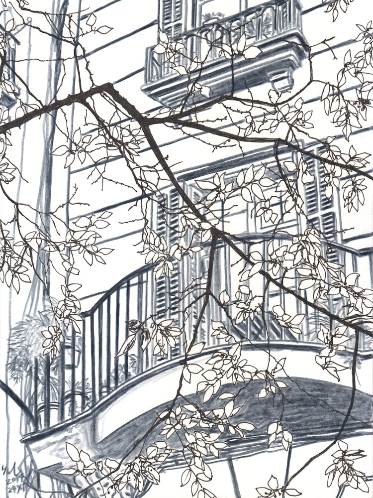 Leaves And Balconies