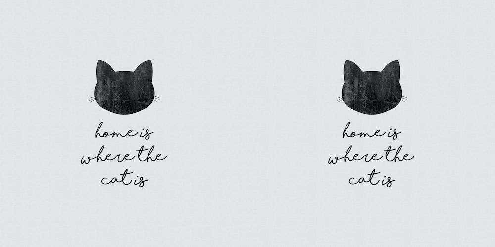 Home Is Where The Cat Is