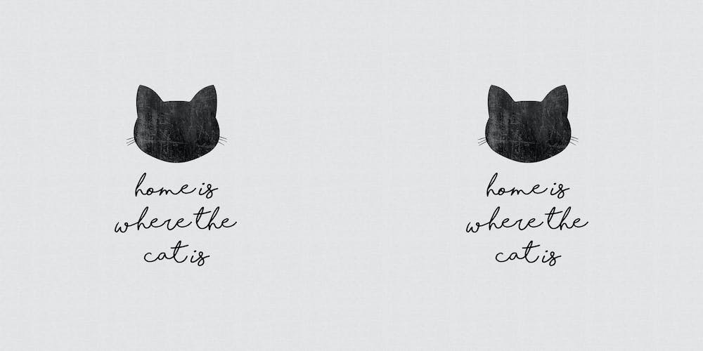 Home Is Where The Cat Is