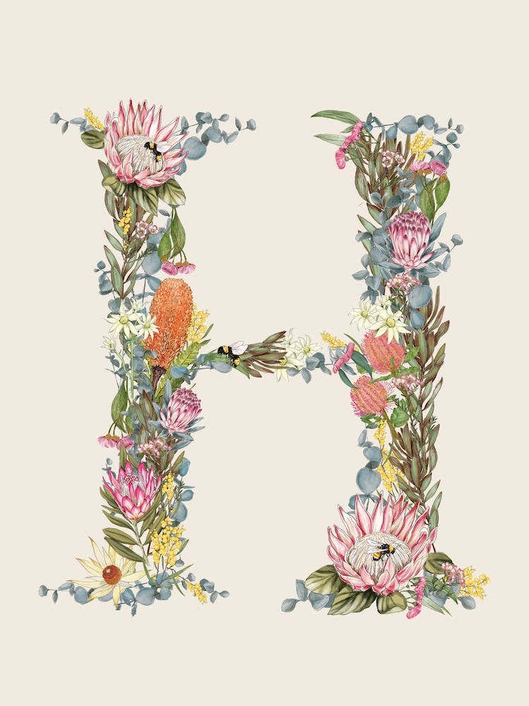 H Oat Alphabet Letter