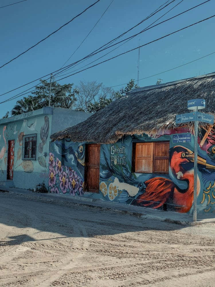 Street Art Bird On Isla Holbox Mexico