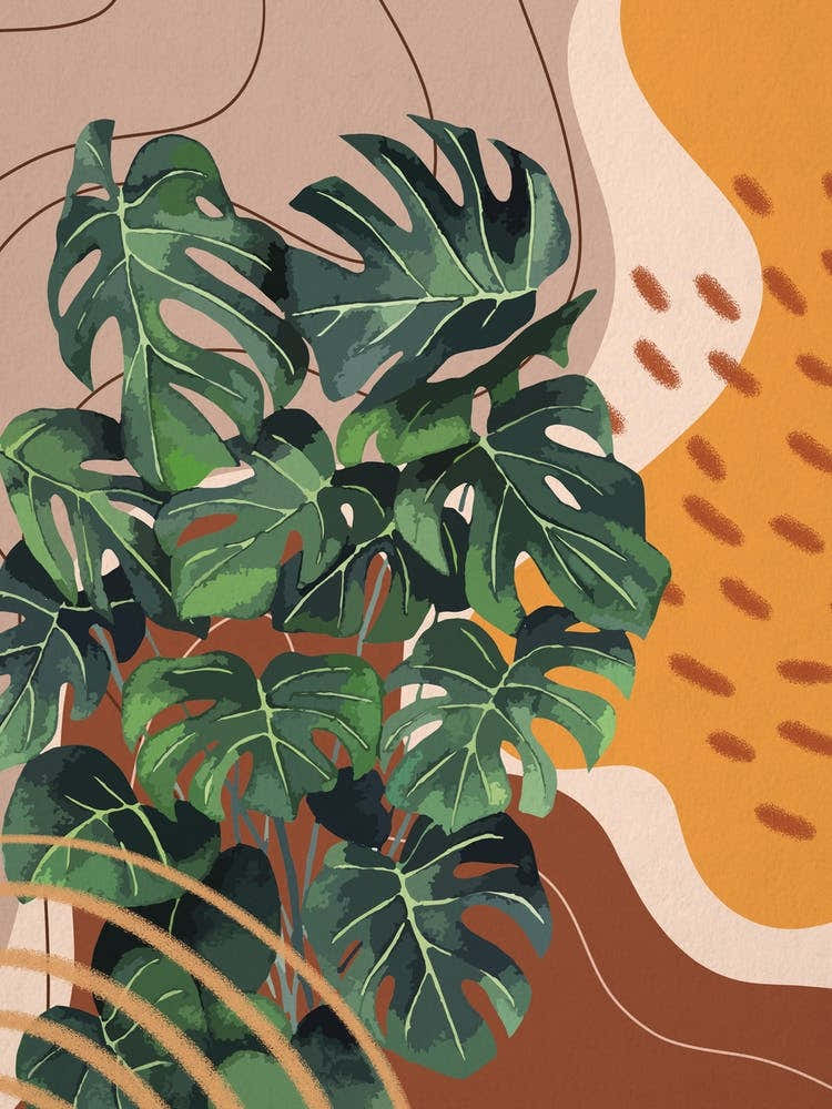 Abstract Shapes Monstera Plant