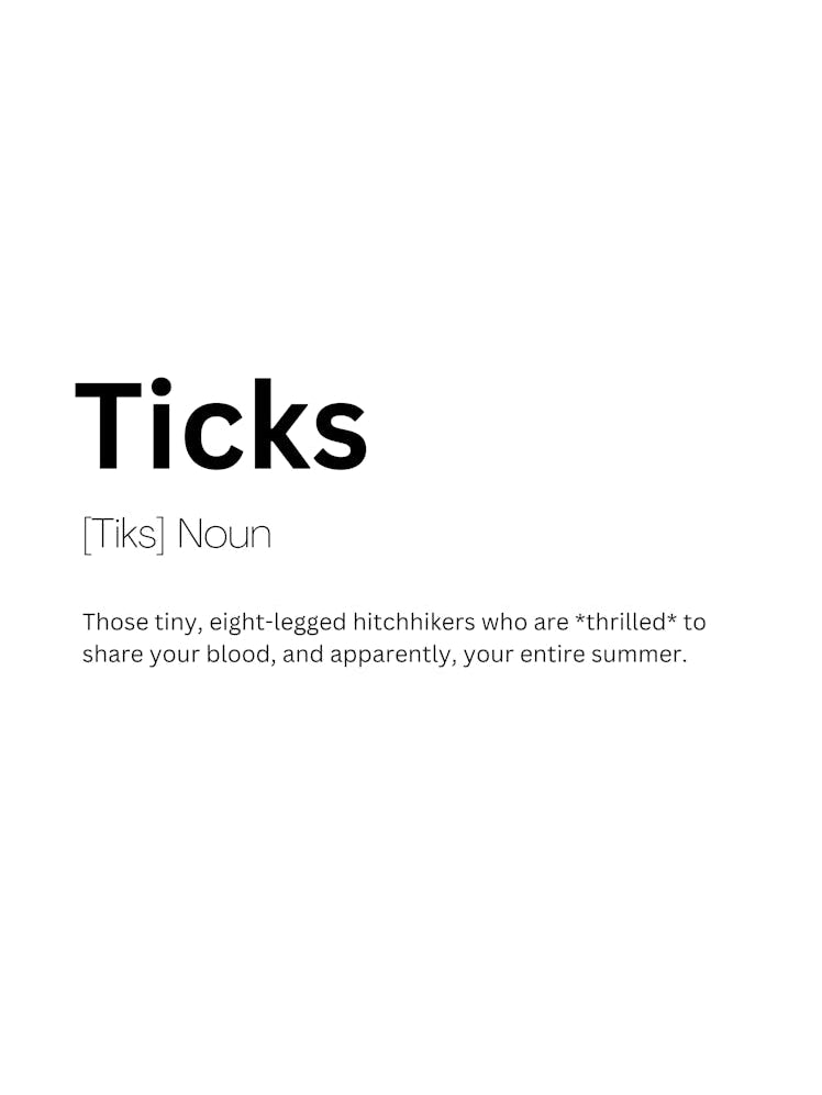 Ticks Definition Meaning
