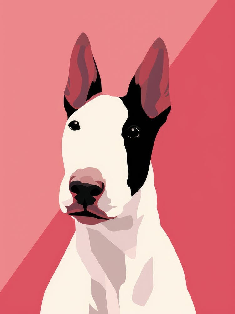 Bull Terrier 8