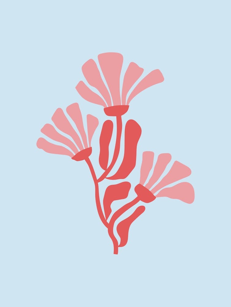 Blue And Pink Abstract Flower