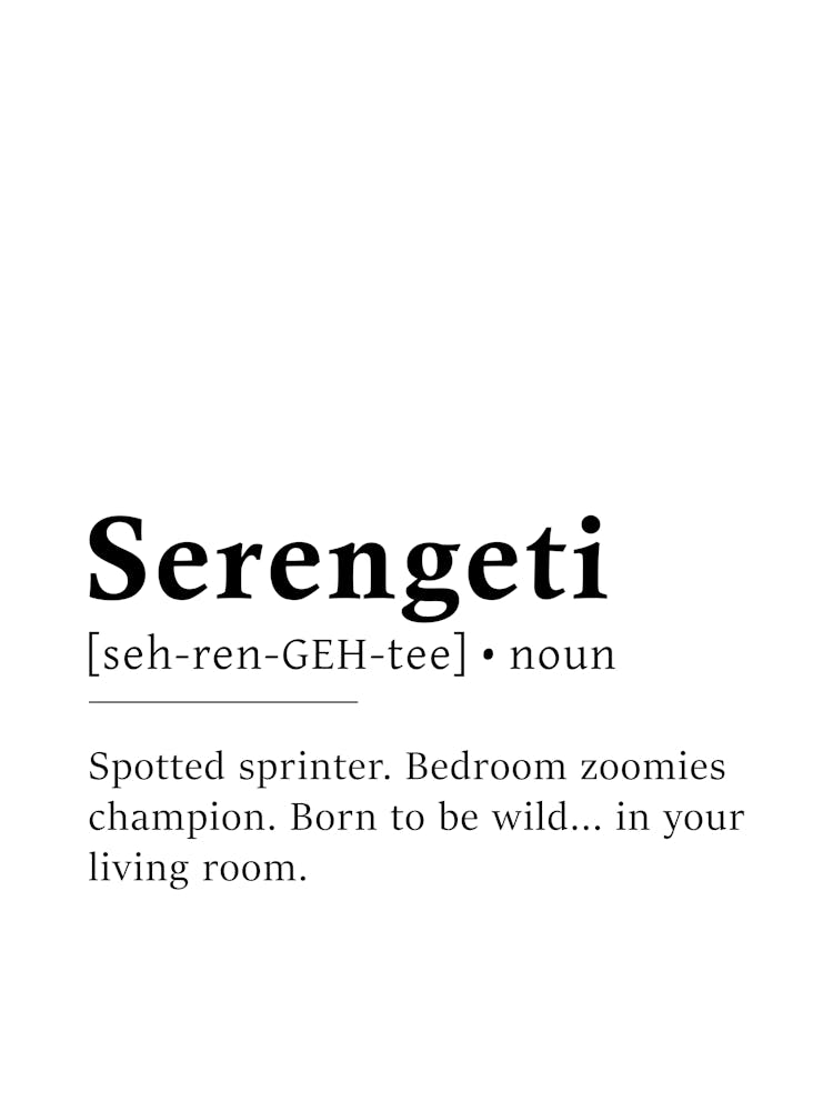 Serengeti Definition Poster - Dictionary