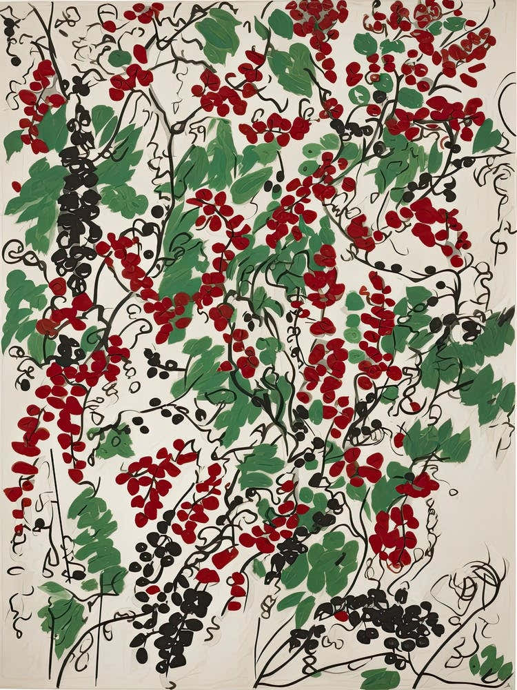 Redcurrant Fruit Drawing 2