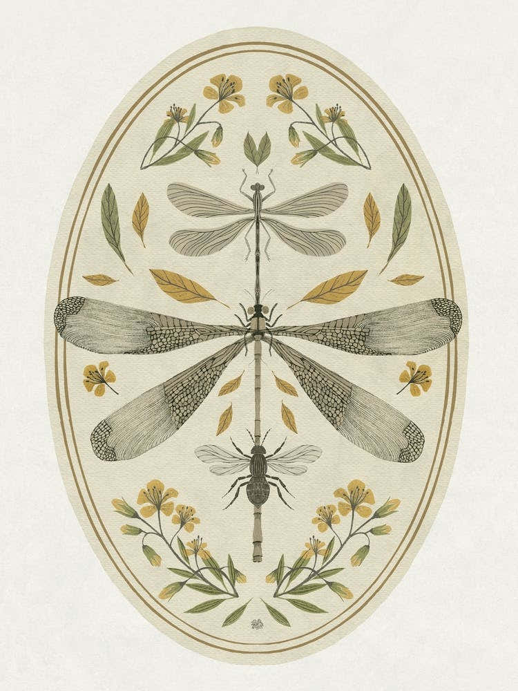 Dragonfly Day insect art