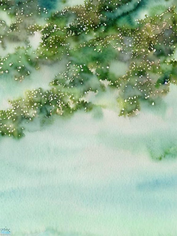 Acropora Yongei Iii Storybook Watercolour