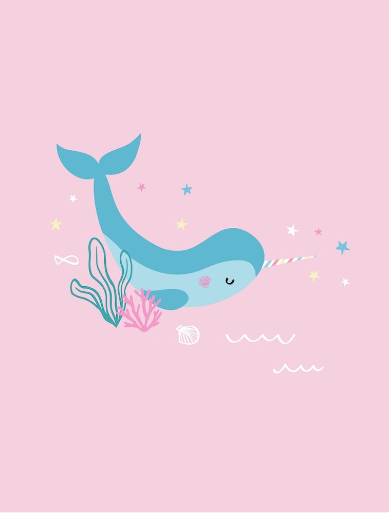 Narwhal  Illustration