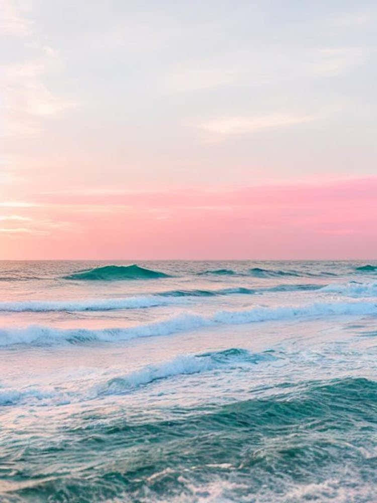 Delray Beach, Florida Pink Photography 1