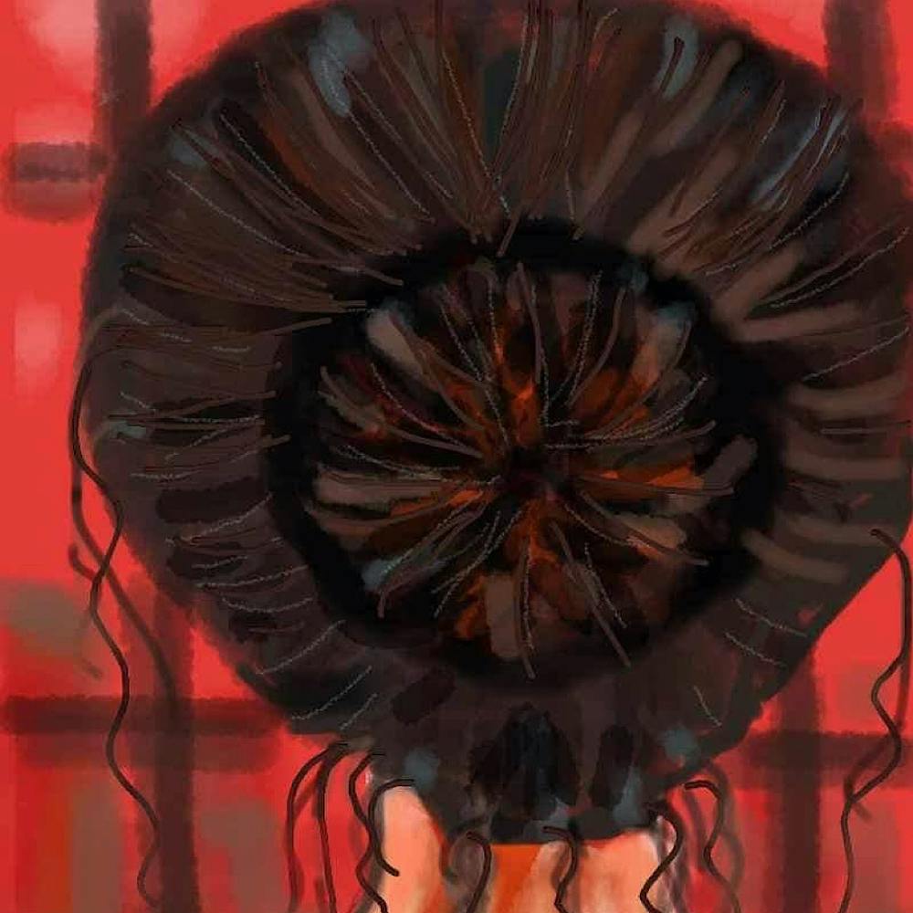 The World She Sees