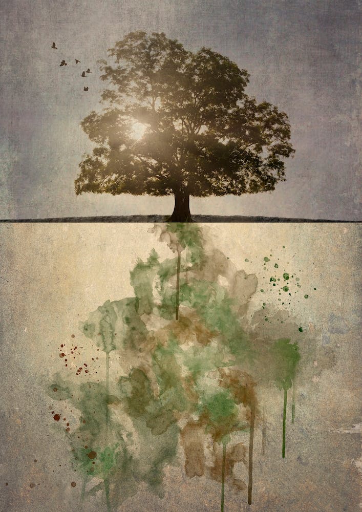 Horizon Tree