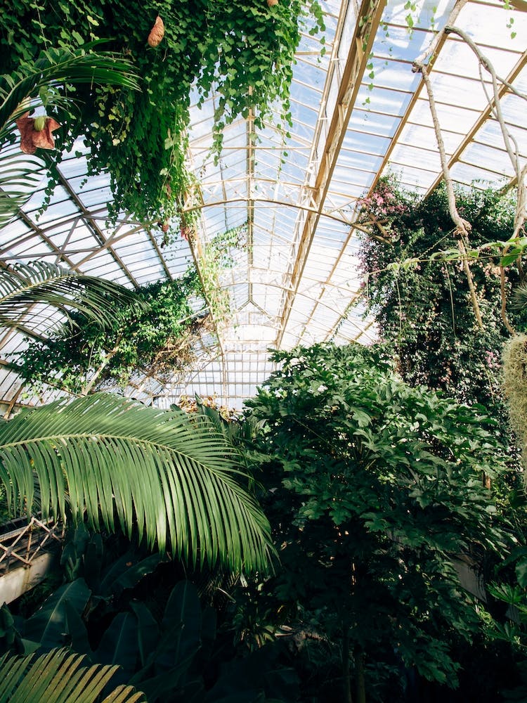 Cuninghams Botanic Garden