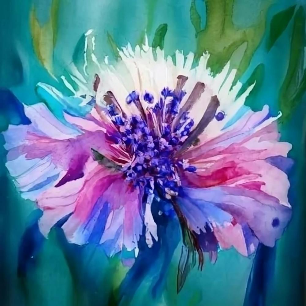 Colorful Cornflower