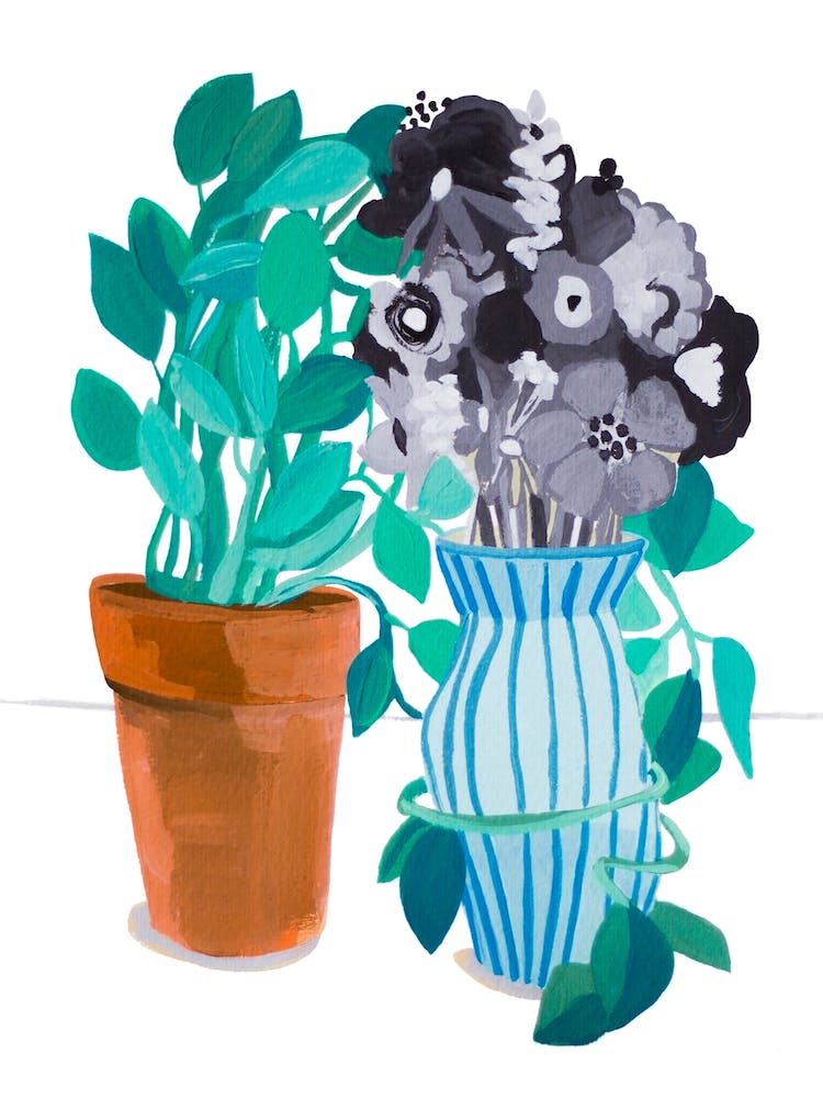 Sometimes You Need A Hug Plant