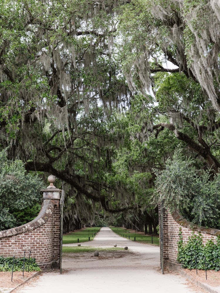 Charleston, South Carolina