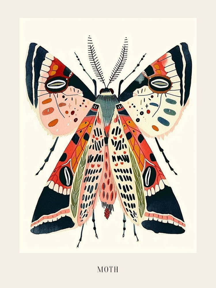 Colourful Insect Illustration Moth 22 Poster