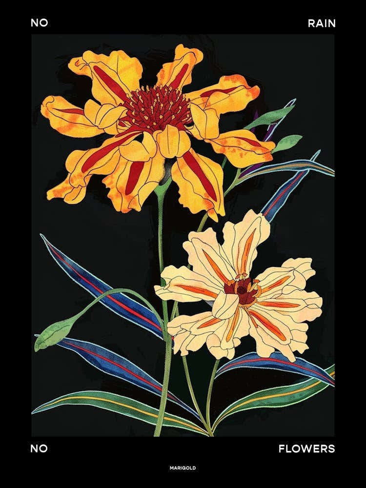 No Rain No Flowers Poster Marigold 1