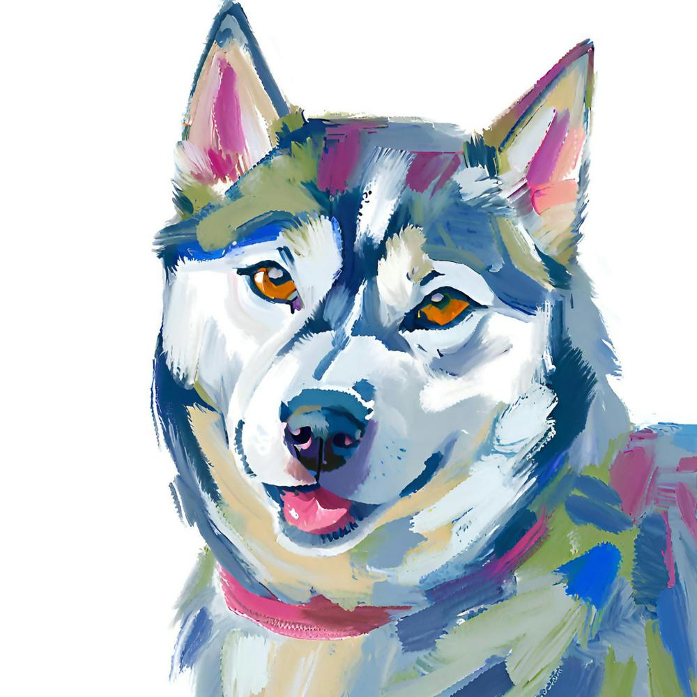 Siberian Husky 02