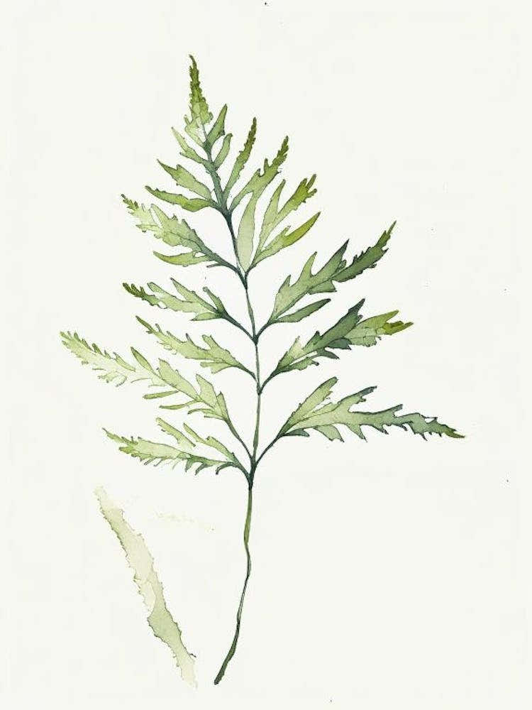 Wormwood Leaf Minimalist Watercolour 2