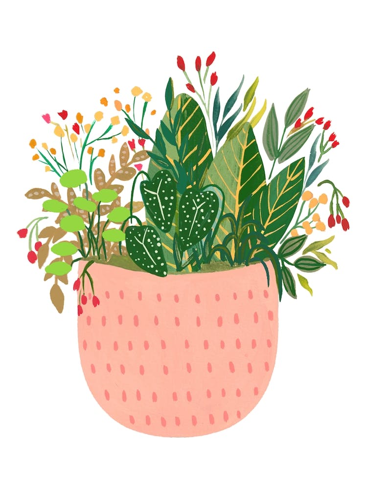 Assorted Potted Plants Sun