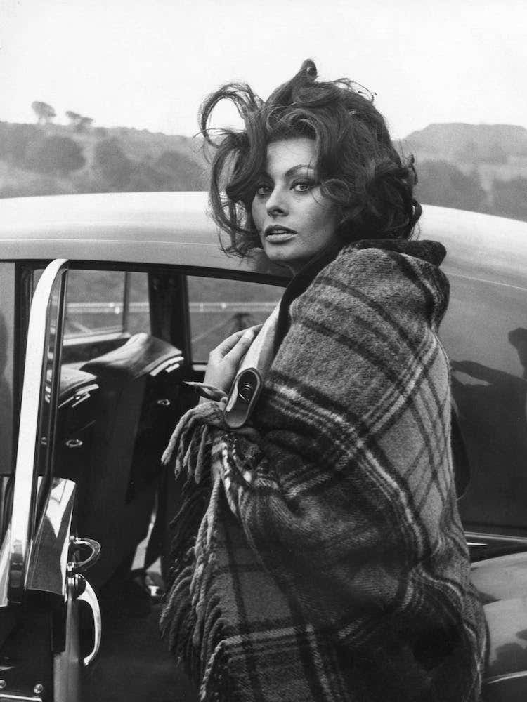 Sophia Loren