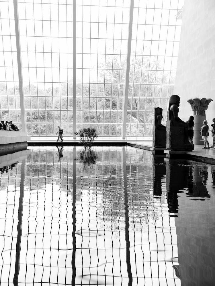 MOMA, New York