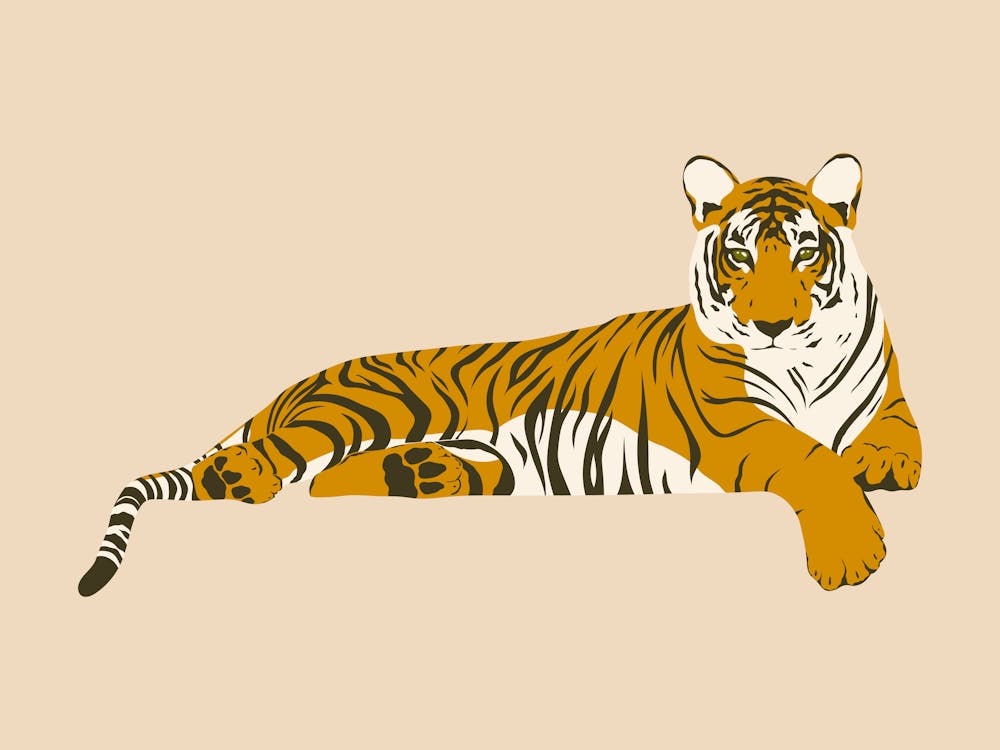 Tiger Relaxing - Beige