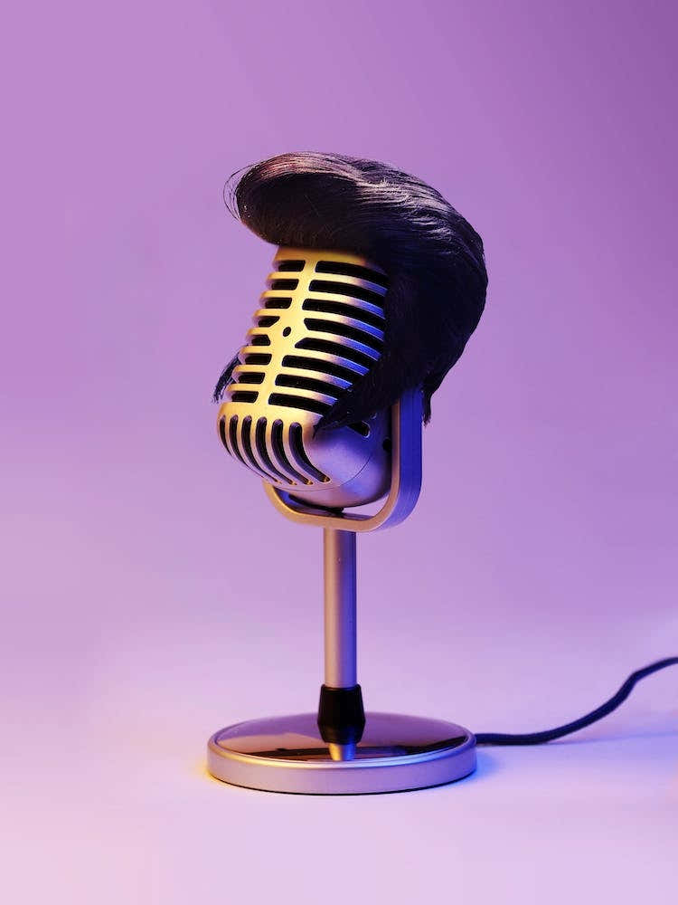 Elvis Mic