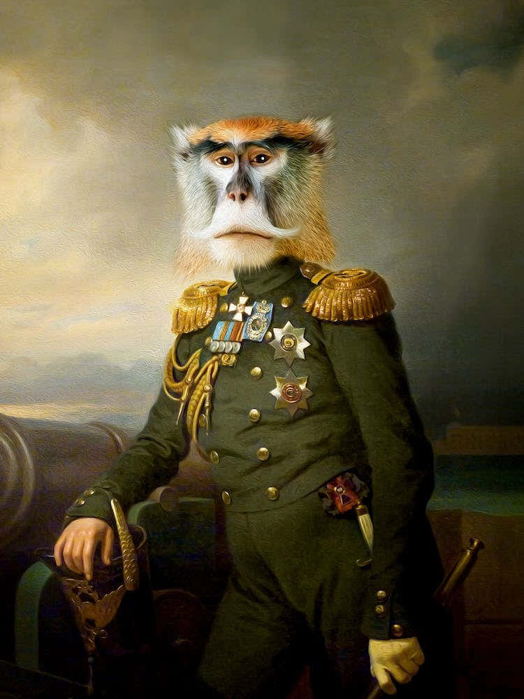 Major Eugene The Monkey Pet Portraits