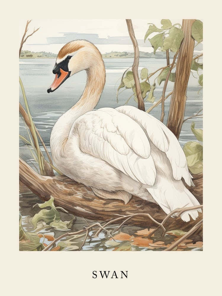 Beatrix Potter Inspired  Animal Watercolour Swan 4