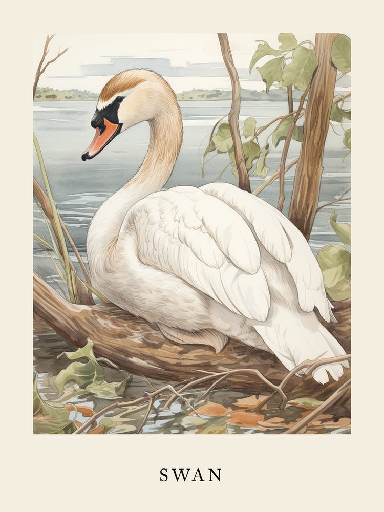 Beatrix Potter Inspired  Animal Watercolour Swan 4