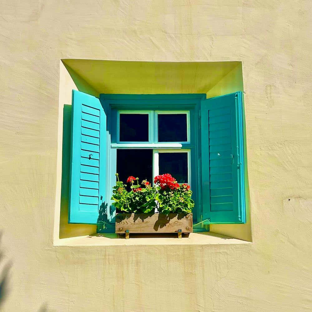 Friedrich Nietzsche's Front Window