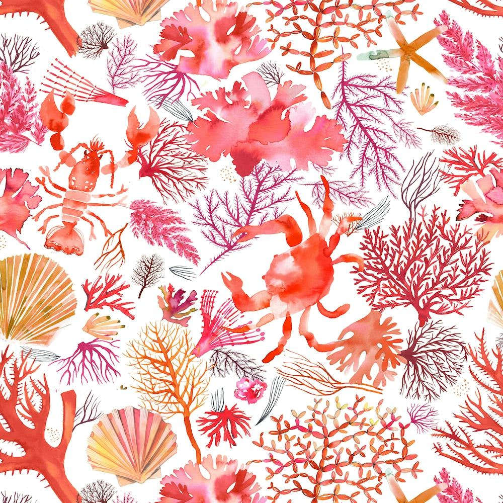 Corals Reef Crab Orange Square