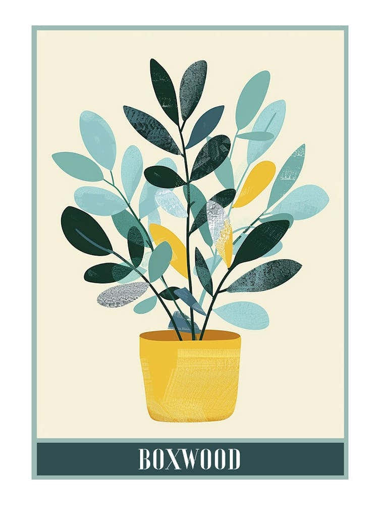 Boxwood Tree Flat Illustration 2 Poster