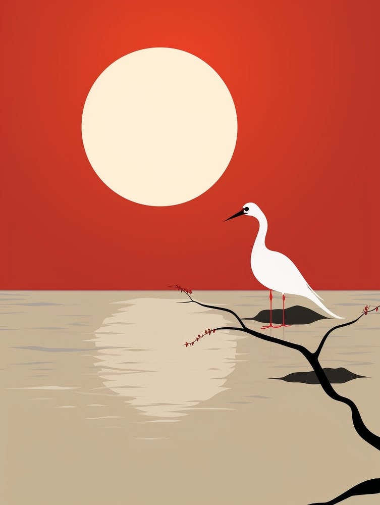 Minimalist Coot 3 Illustration