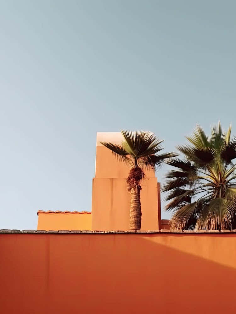 Orange House With Palms Retro Summer Photography 3