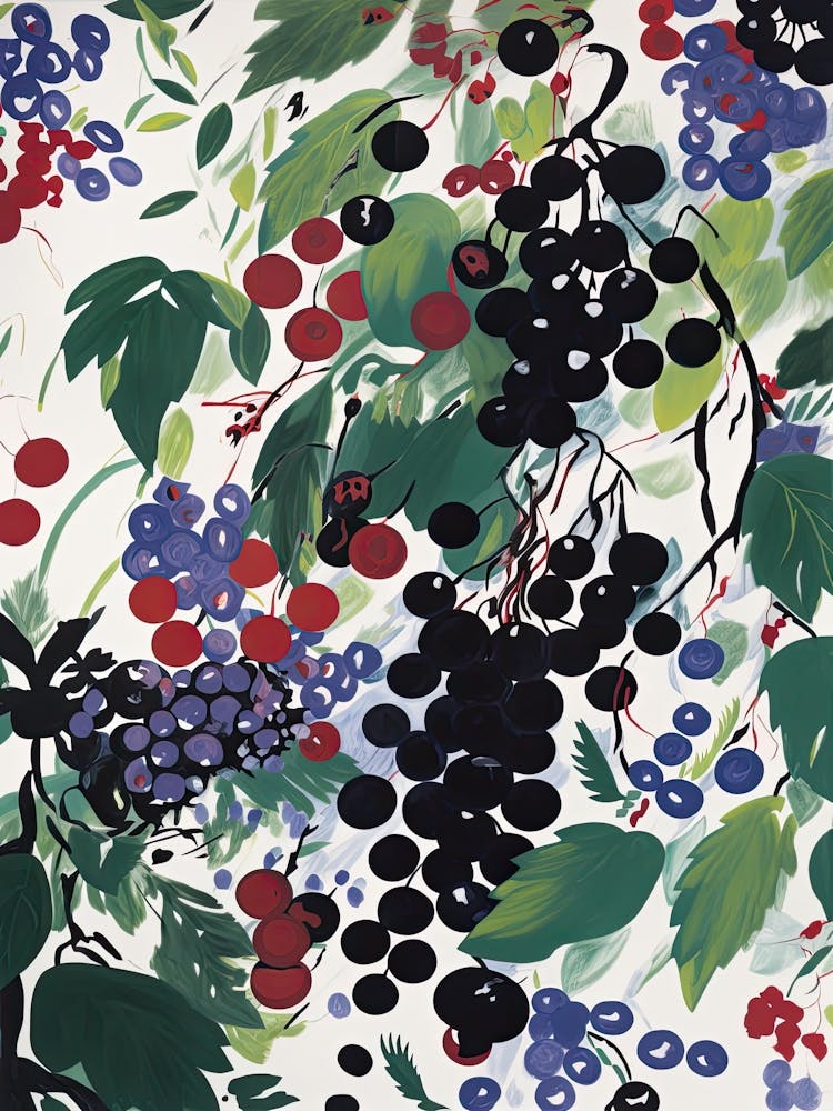 Blackcurrant Fruit Drawing 4