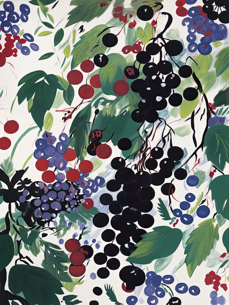 Blackcurrant Fruit Drawing 4