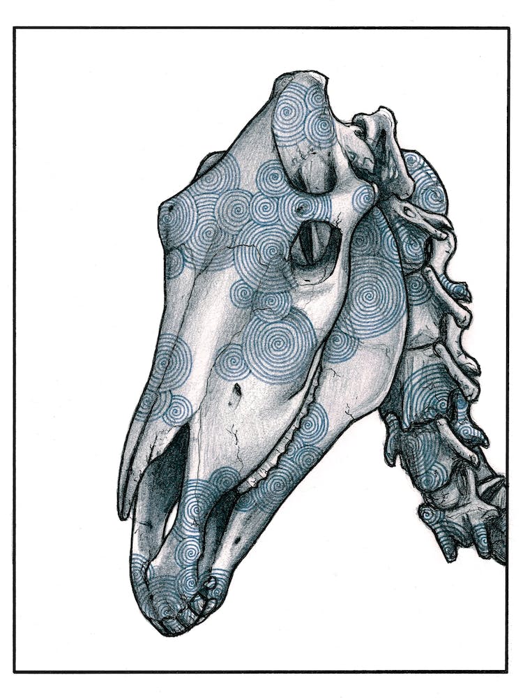 Horse Skull Blue
