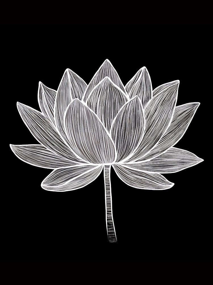 Lotus Flower