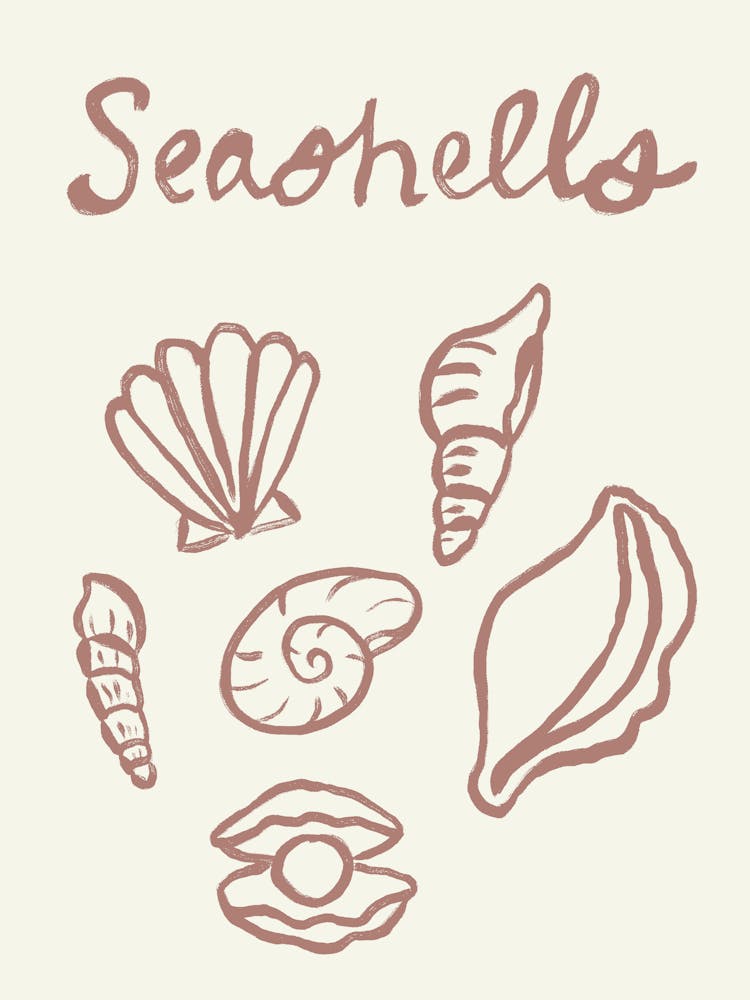 Seashell Doodles, Seashell Line Art, Minimalism Seashell Design 2