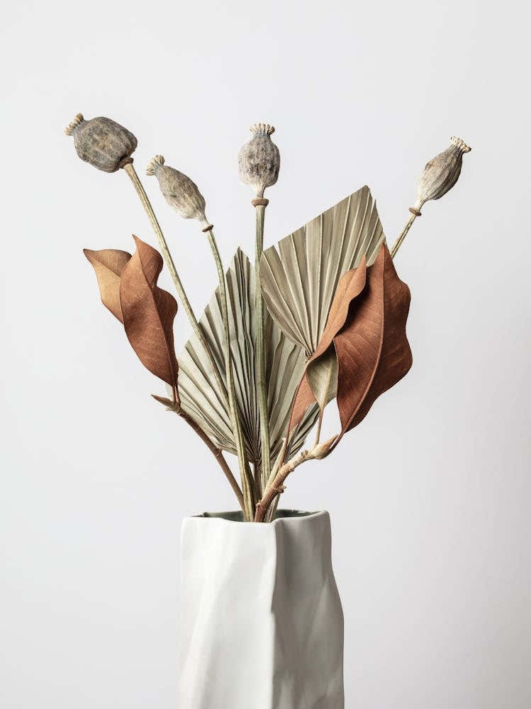 Dried Flowers_2191087