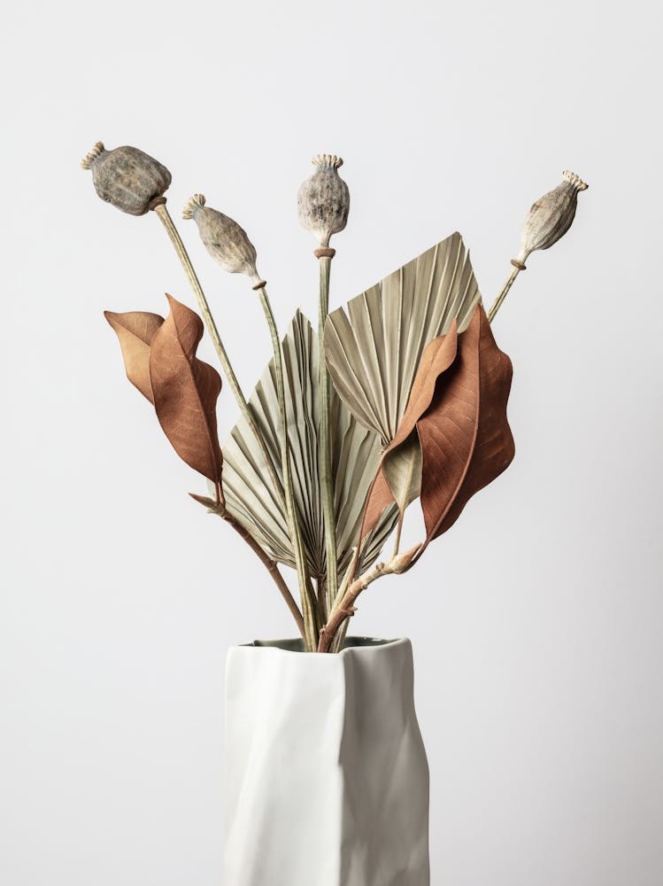 Dried Flowers_2191087