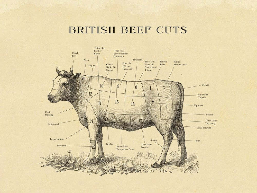 British Beef  Butcher Cuts Chart