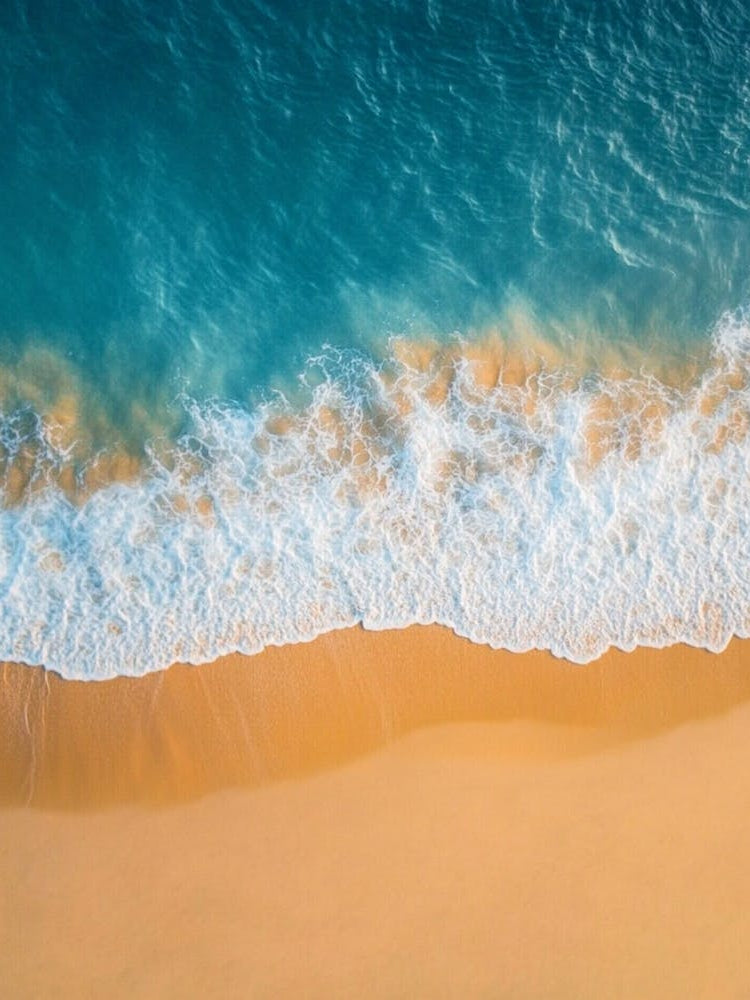 Aerial View Of A Beach 169